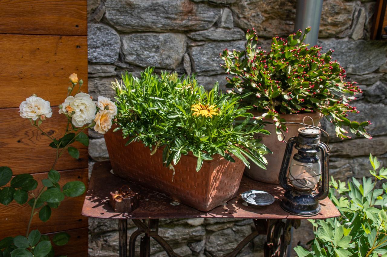 Agriturismo Treterre Pianello Del Lario Екстериор снимка